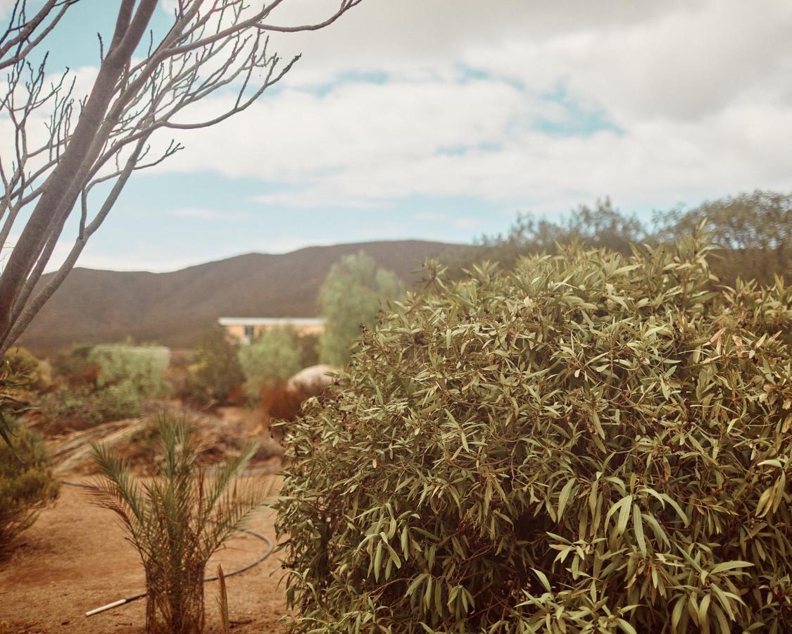 Quinta Estrella Bed and Breakfast Valle de Guadalupe Εξωτερικό φωτογραφία